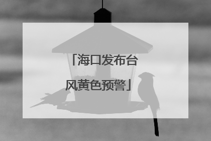 海口发布台风黄色预警